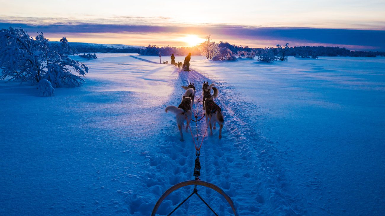 Huskyschlitten in Lappland
