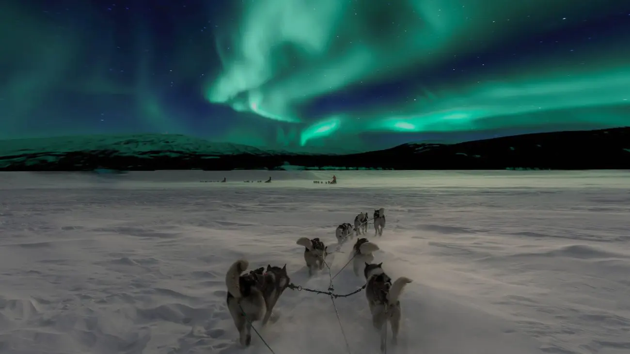 Husky's rennen door een winters landschap met het noorderlicht aan de hemel