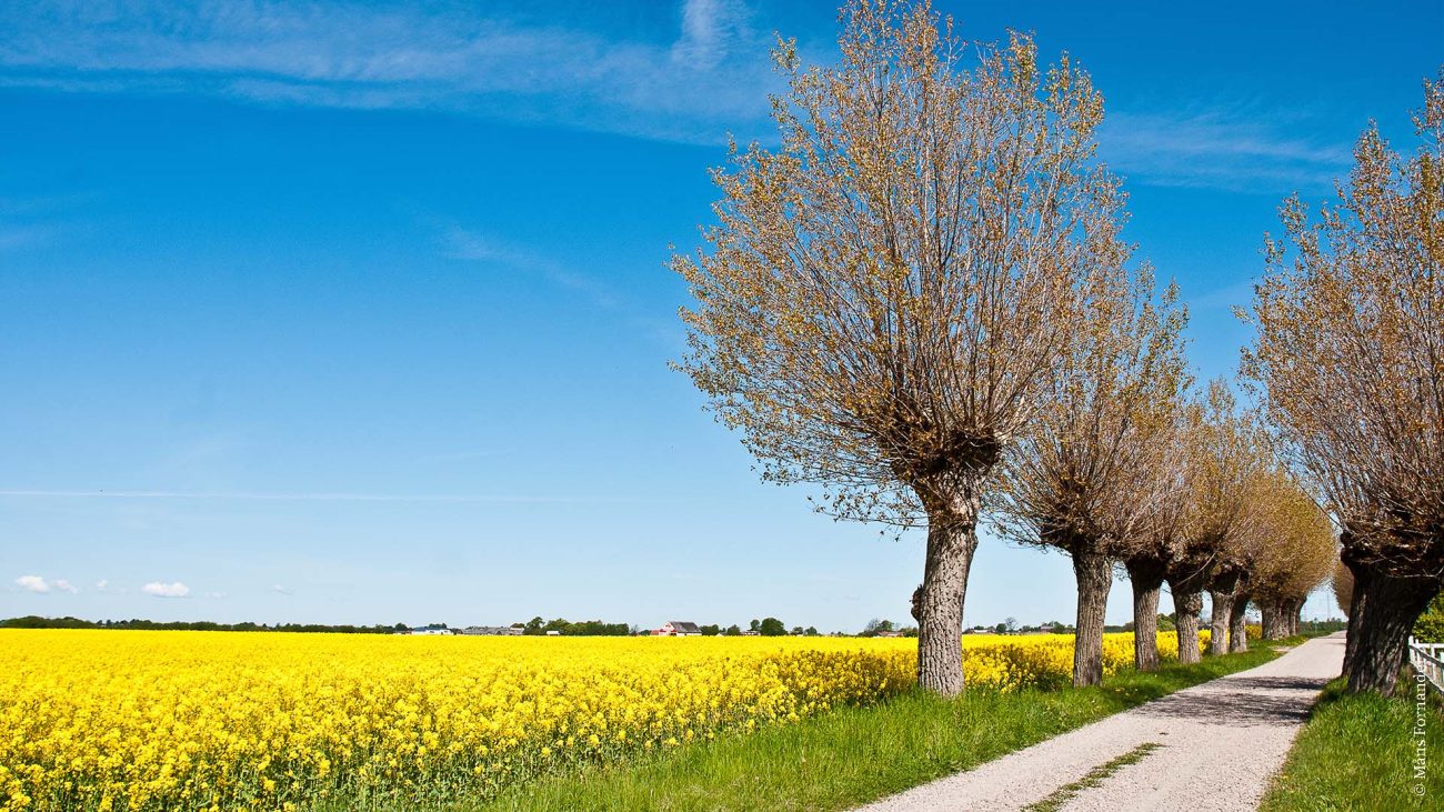 Route naar de Noordkaap via Zweden