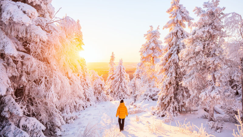 Fins Lapland