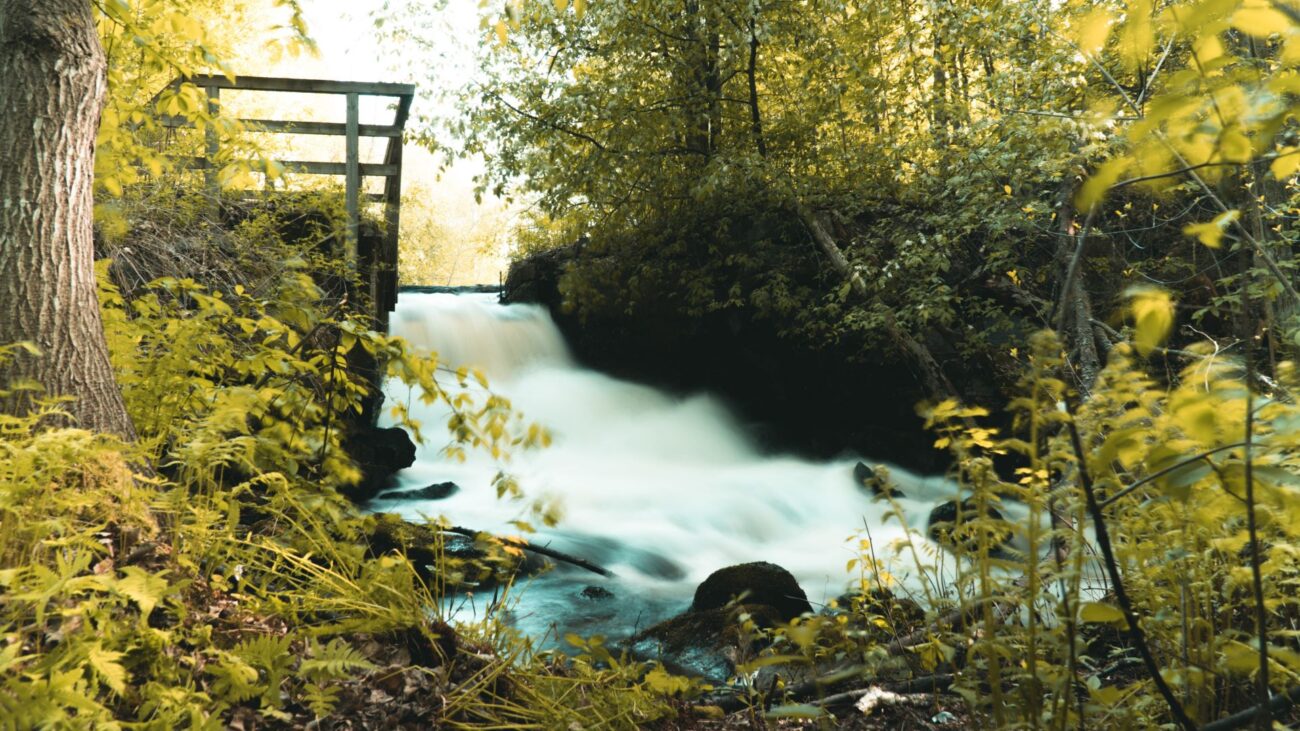 Stromschnelle im Wald.