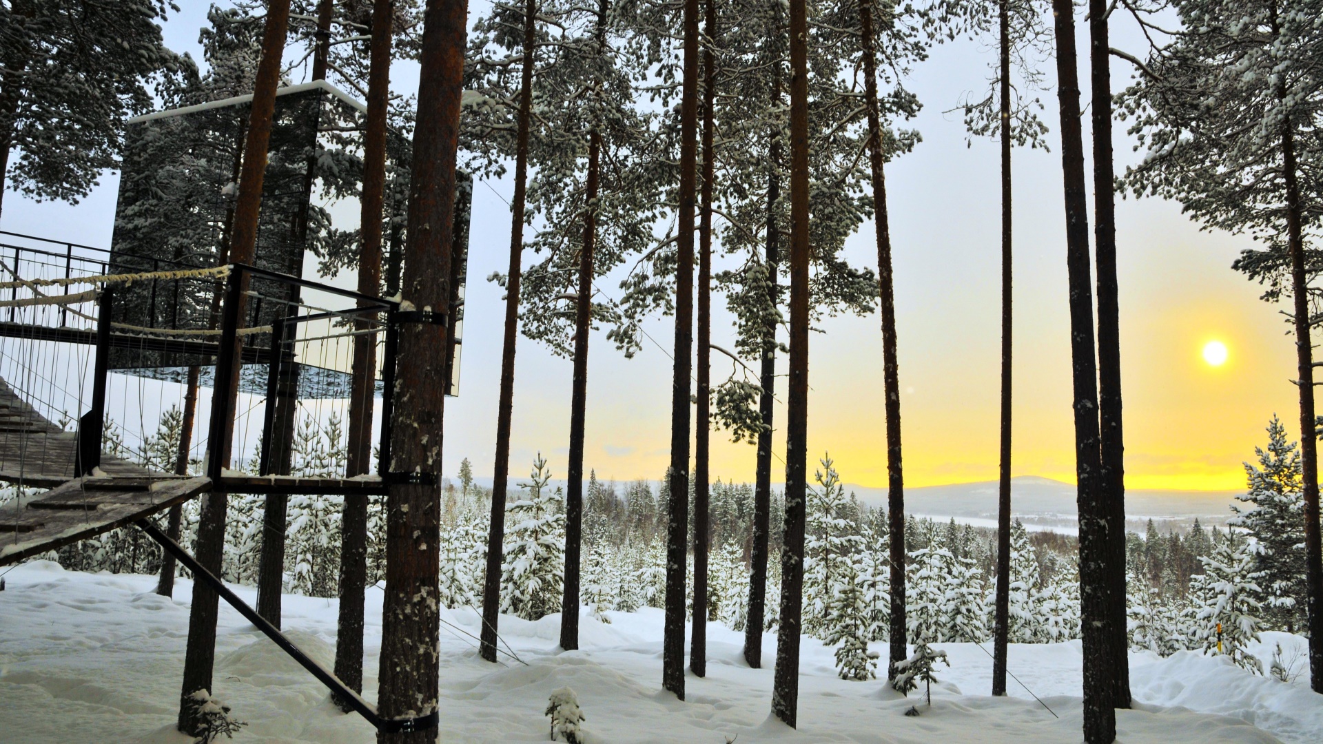 Baumhaus aus Glas in der Nähe von Luleå © imagebank/visitsweden.de -Lola Akinmade Åkerström